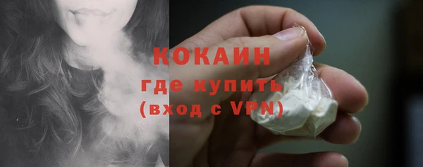 молекула духа Костерёво