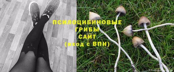мяу мяу кристалл Коряжма