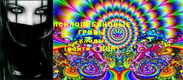 бошки Абаза